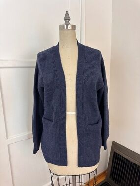 Aritzia blue cardigan